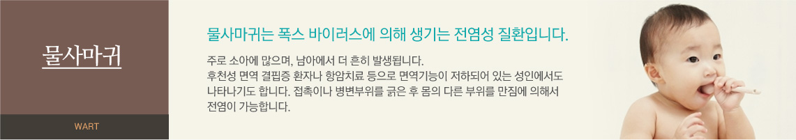 물사마귀 - 물사마귀는 폭스 바이러스에 의해 생기는 전염성 질환입니다. 주로 소아에 많으며, 남아에서 더 흔히 발생됩니다. 후천성 면역 결핍증 환자나 항암치료 등으로 면역기능이 저하되어 있는 성인에서도 나타나기도 합니다. 접촉이나 병변부위를 긁은 후 몸의 다른 부위를 만짐에 의해서 전염이 가능합니다. 